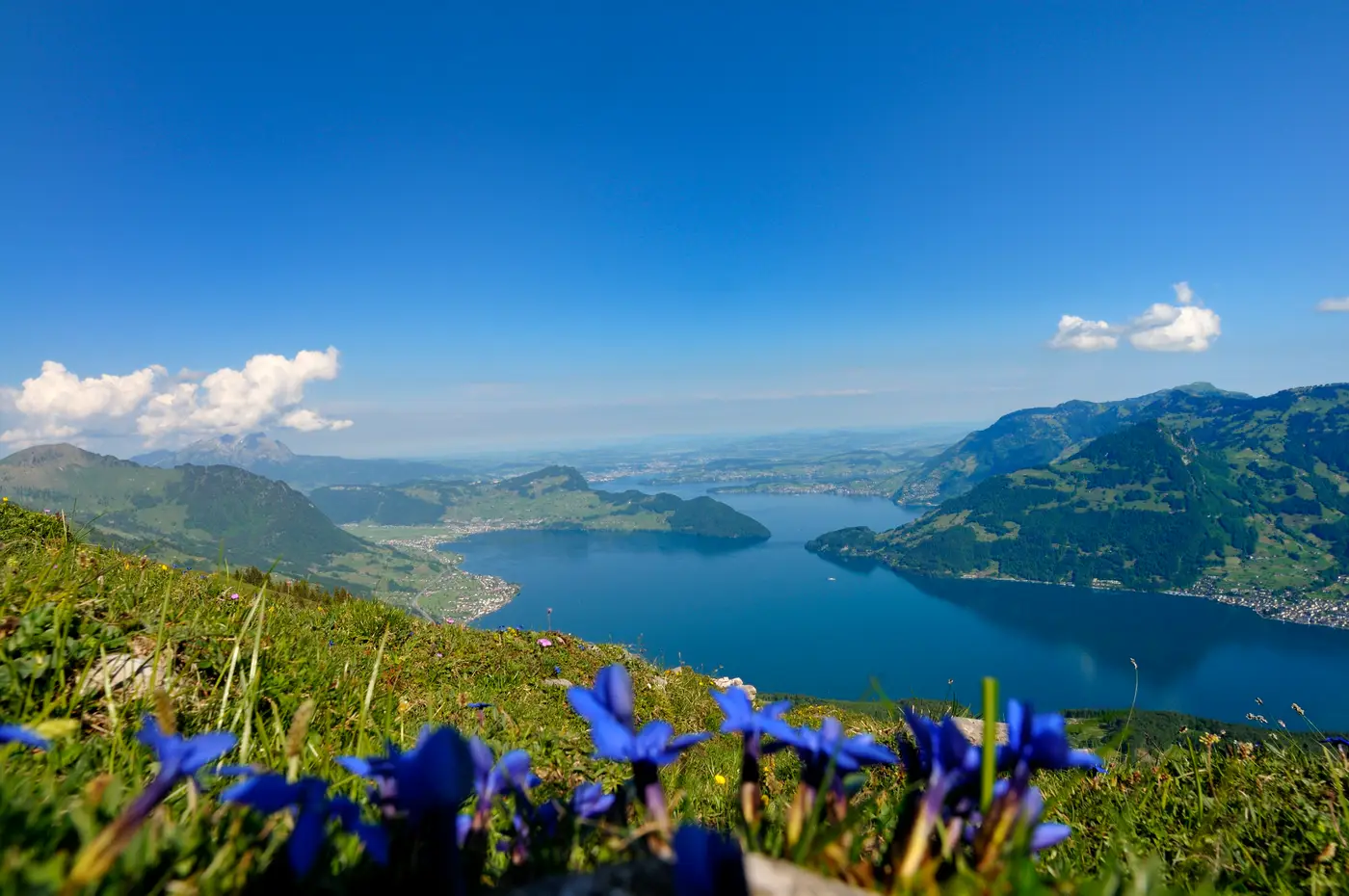 Alpine flower trail around the Klewenstock